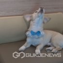 명창농장 이미지