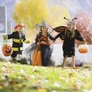 페츠하임 이미지