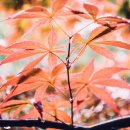 휴일의 아침 이미지