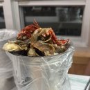 오늘도 여수 | 여수맛집 풍자 또간집 명동게장 내돈내산 솔직후기