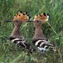 다린어린이집 이미지