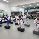 경희대 다원 태권도장 이미지