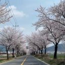 송해공원 제3주차장(2) 이미지