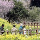 색달동-21 이미지