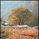 우리빨래터 이미지