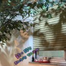 동탄P&P메디칼프라자 이미지