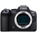 M-3 | Canon EOS R6 Mark III (R6M3), 스펙/사용후기 등 정리