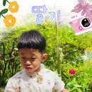 해바라기어린이집마당 이미지