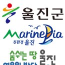 울진군청 이미지