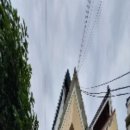 남구-166 이미지