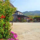 교동 화개산 펜션 이미지