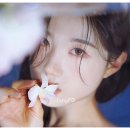 케이용인대태권도 - 서대문구 홍은중앙로 89 | 케이용인대태권도