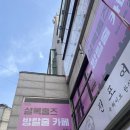 222 | #222 끝... 그리고 후기(셜록홈즈 방탈출 잠실새내점, 잠실 방탈출)