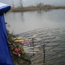 신장소류지 이미지