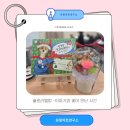 포천시립가산도서관 | 유아 그림책 수업 후기 | 포천 가산도서관 크리스마스 꽃볼 만들기 포천도서관원데이 클래스 플로리텔링...