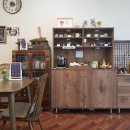 꼽슬이네 이미지