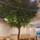 구소아청소년과의원 이미지