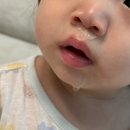 청구어린이집 | 현대해상 태아보험 청구 후기 + 추천 설계안 &amp; 산모특약 &amp; 현금사은품 공유