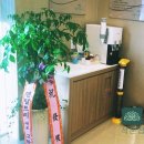 서울이다움치과 이미지