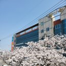 황산옥 이미지