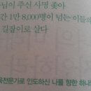 김진의디자인
