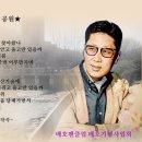 대도레코드사 이미지