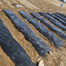 하늘농약사 이미지