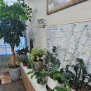 문소장공인중개사사무소 이미지