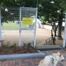 구민운동장(공중) 이미지