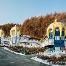 숲속의요정 이미지