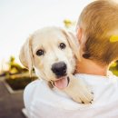 사당동물약국 이미지