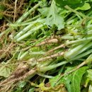 중간말농장 이미지