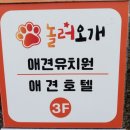 놀러오개 네이버블로그
