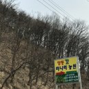 양동농원