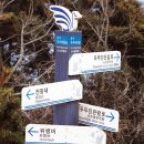 온시그널