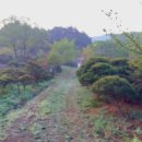 일동농장 이미지