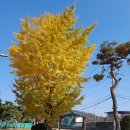 강화문예회관 이미지