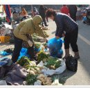 완도읍-12 이미지