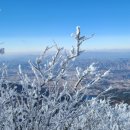 무주 오페라 키즈 풀빌라 펜션 이미지