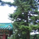 광산김씨 직제학공파 김약시/김췌 묘역 내 모표 및 문인석 | 경기 광주시 문화재 및 관광지