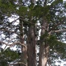 아우라지의 풍경 이미지