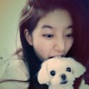 수지메디칼 이미지