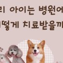 다가온동물병원 이미지