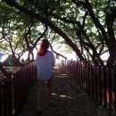 영흥카센터 이미지