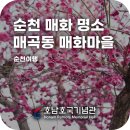 매화2길 이미지