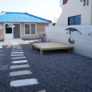 신흥민박 이미지