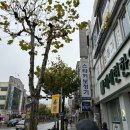 스타키보청기 청주육거리센터 | 청주 보청기 수리 간편하고 친절한 서비스가 있는곳!