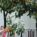 한신문화경로당 이미지