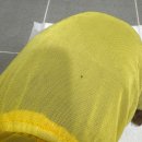 산책가개 | 내돈내산 강아지 진드기 방지 추천템 솔직후기 산책가개 계피스프레이 도그아이 버그가드 래핑찰리 이지...