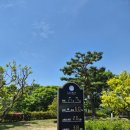 시그너스CC(대중제) | 충북 충주 골프장 추천! 짱아맘님과 다녀온 시그너스CC 라운딩 후기⛳